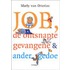 Job, de ontsnapte gevangene & ander gedoe