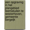 Een opgraving in het plangebied Leemskuilen te Westerhoven, gemeente Bergeijk by J. van Kampen