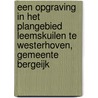 Een opgraving in het plangebied Leemskuilen te Westerhoven, gemeente Bergeijk door J. van Kampen