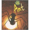 Ant door Karen Hartley