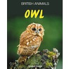 Owl door Stephen Savage
