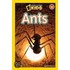 Ants