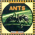 Ants