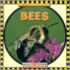 Bees