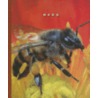 Bees by Sophie Lockwood