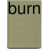 Burn by Paul Collins