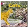 Cats door Claire Llewellyn
