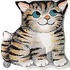 Chat