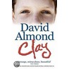 Clay door David Almond