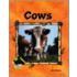 Cows