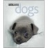 Dogs