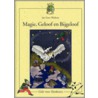 Magie, geloof en bijgeloof