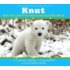 Knut