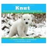 Knut by Craig Hatkoff