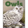 Owls door Adrienne Mason