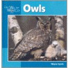 Owls by Wayne Lynch