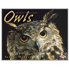 Owls door Sandra Markle