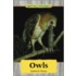 Owls