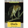 Owls door Karen D. Povey