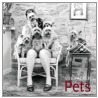 Pets door Sue Packer