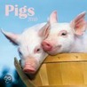 Pigs door Onbekend