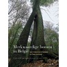 Merkwaardige bomen in België