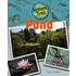 Pond