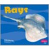 Rays