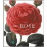 Rose by Peter Harkness