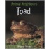 Toad