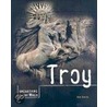 Troy by Ann Kerns