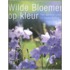 Wilde bloemen op kleur