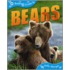 Bears