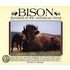 Bison
