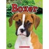 Boxer