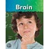 Brain