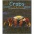 Crabs