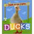 Ducks