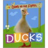 Ducks by Sally Morgan