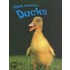 Ducks