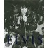 Elvis