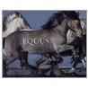 Equus door Tim Flach