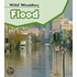 Flood