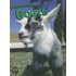 Goats