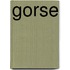 Gorse