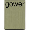Gower by Ordnance Survey