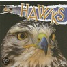 Hawks by Julie K. Lundgren
