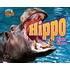 Hippo