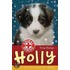 Holly