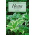 Hosta